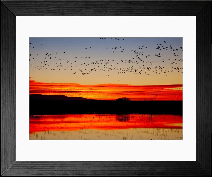 Framed Print : DDE-90039412 Framed Print : DDE-90039412