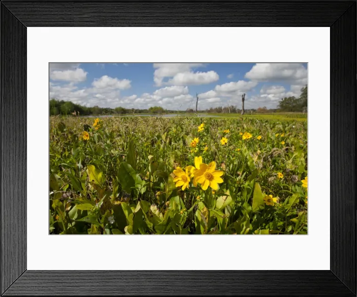 Framed Print : DDE-90039413 Framed Print : DDE-90039413