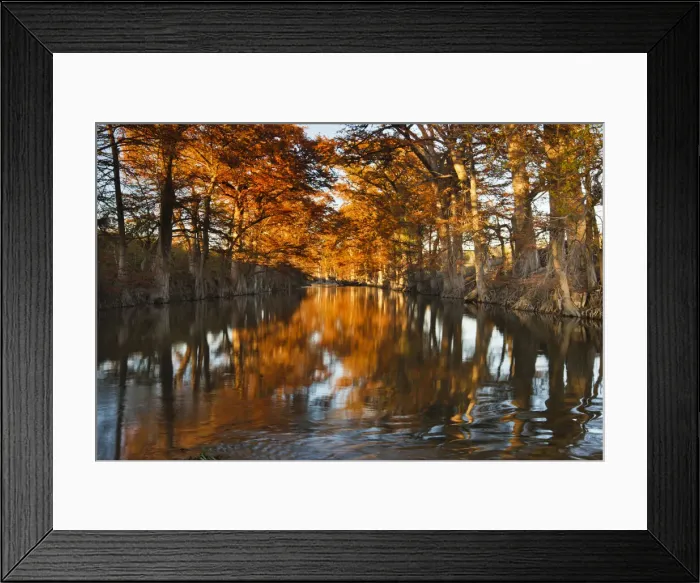 Framed Print : DDE-90039429 Framed Print : DDE-90039429