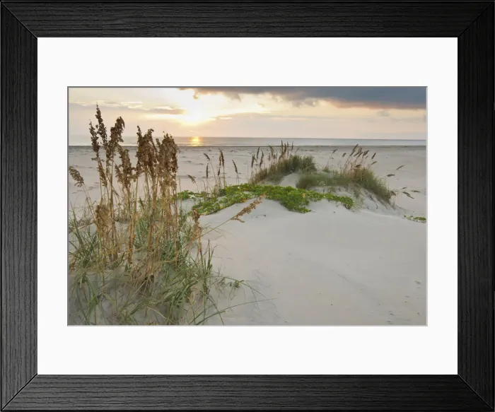 Framed Print : DDE-90039462 Framed Print : DDE-90039462