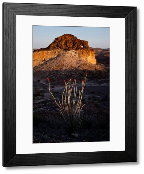 Framed Print : DDE-90039489 Framed Print : DDE-90039489