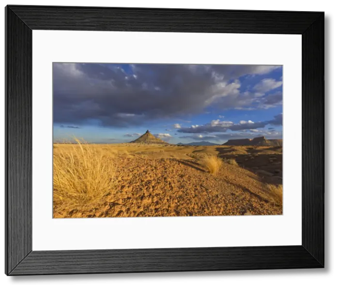 Framed Print : DDE-90039507 Framed Print : DDE-90039507
