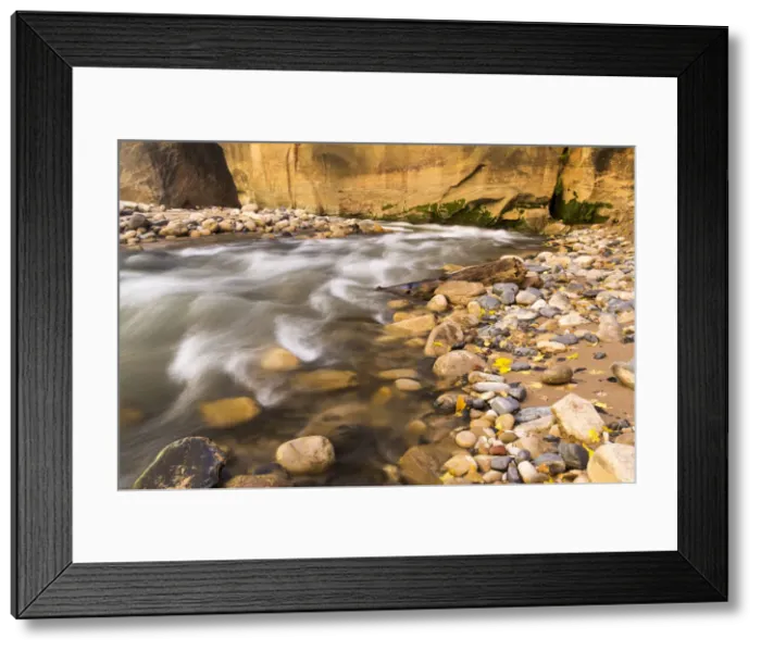 Framed Print : DDE-90039512 Framed Print : DDE-90039512