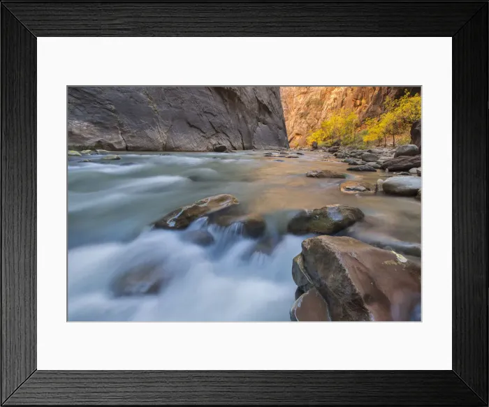 Framed Print : DDE-90039515