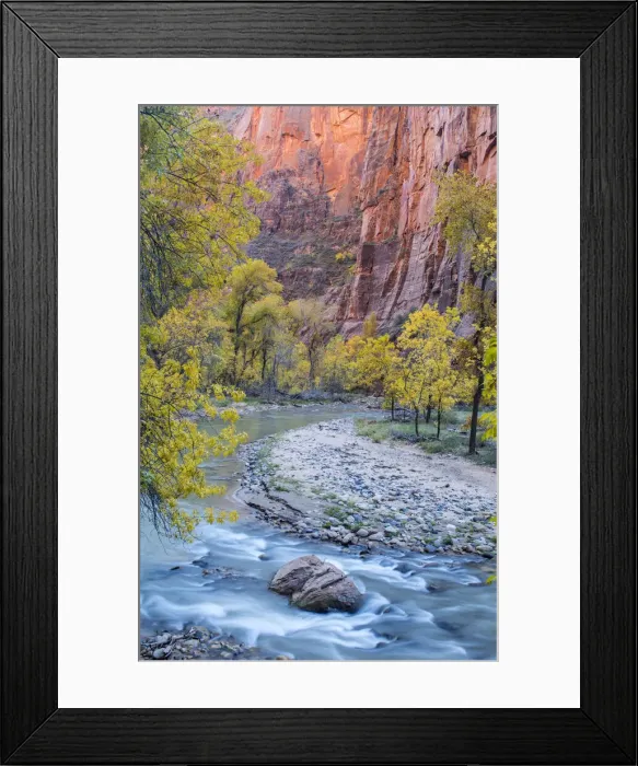 Framed Print : DDE-90039518