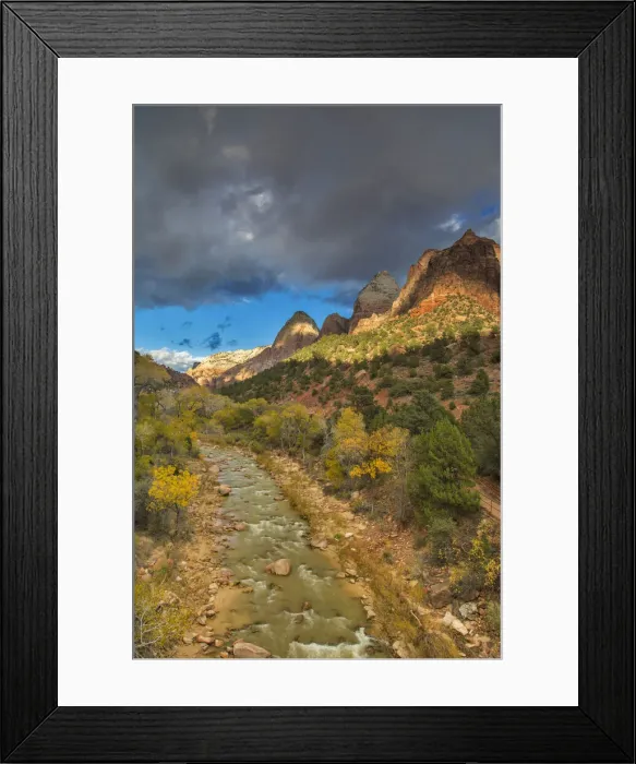 Framed Print : DDE-90039519
