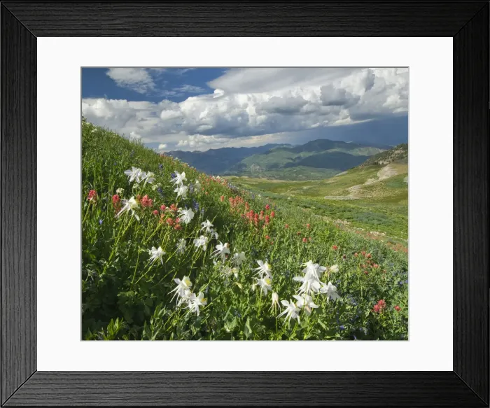Framed Print : DDE-90039521 Framed Print : DDE-90039521