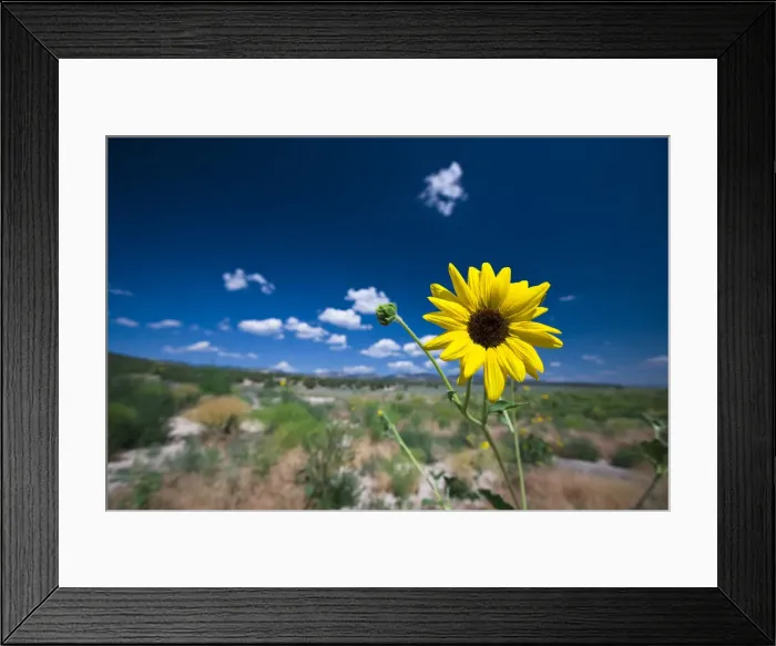 Framed Print : DDE-90039525 Framed Print : DDE-90039525