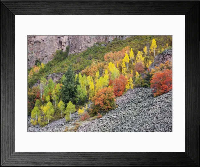 Framed Print : DDE-90039529 Framed Print : DDE-90039529