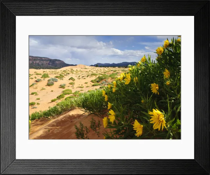 Framed Print : DDE-90039531 Framed Print : DDE-90039531