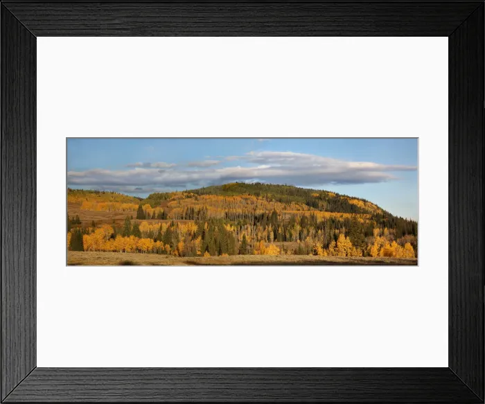 Framed Print : DDE-90039530 Framed Print : DDE-90039530