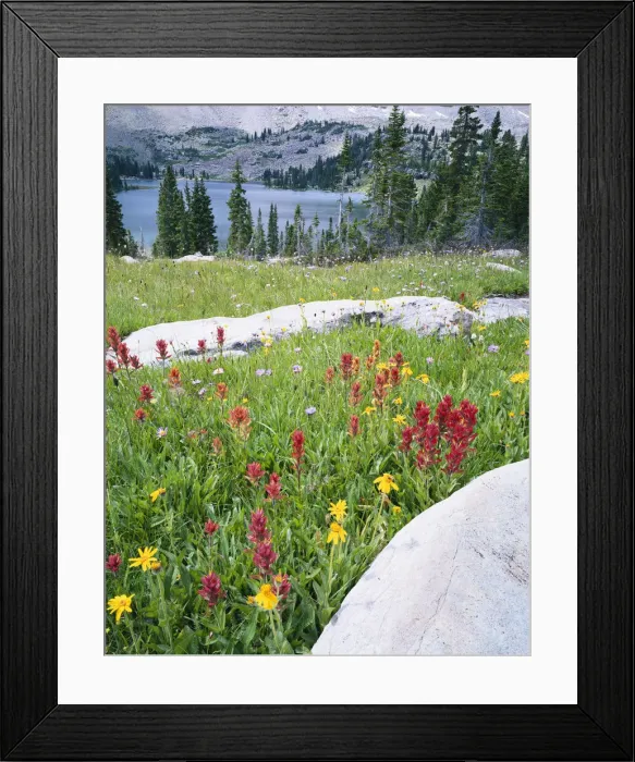 Framed Print : DDE-90039532 Framed Print : DDE-90039532