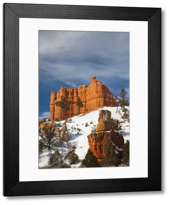 Framed Print : DDE-90039545