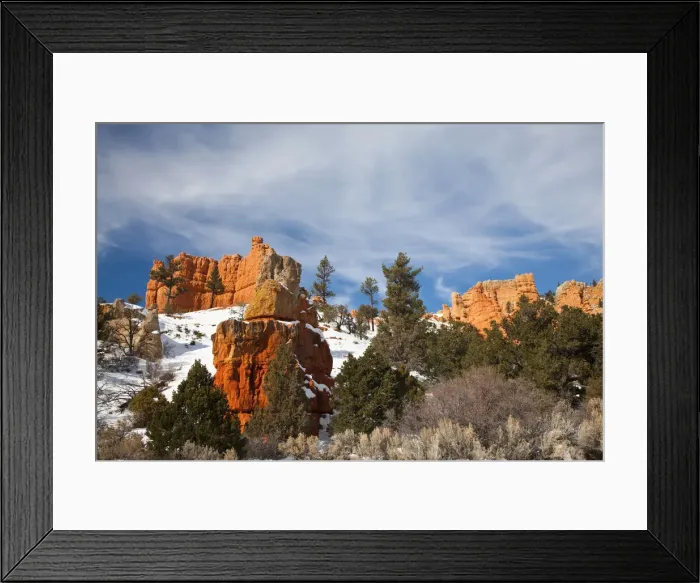 Framed Print : DDE-90039546