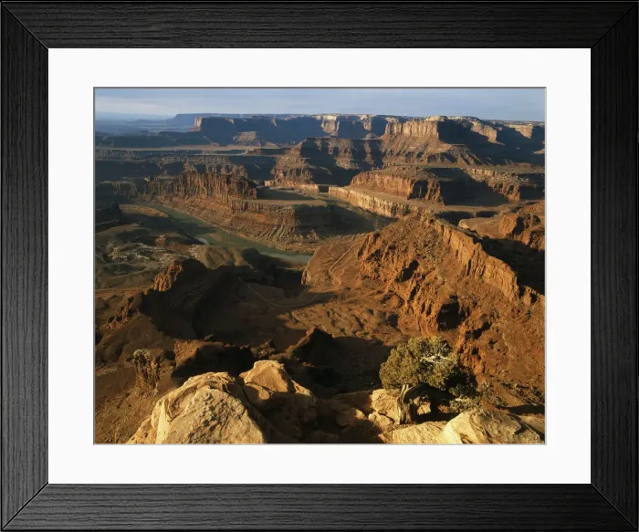 Framed Print : DDE-90039554 Framed Print : DDE-90039554