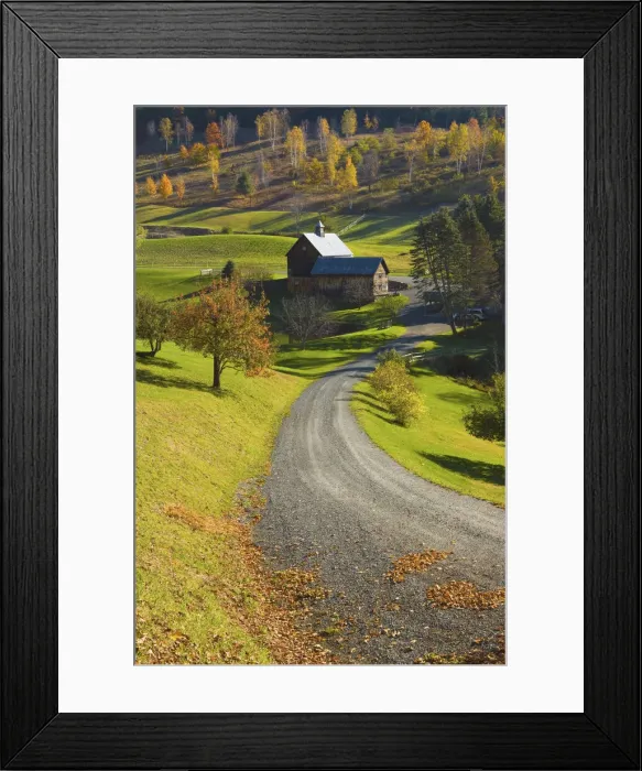 Framed Print : DDE-90039555 Framed Print : DDE-90039555