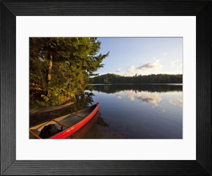 Framed Print : DDE-90039558 Framed Print : DDE-90039558
