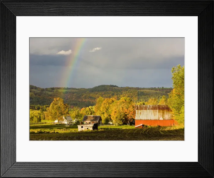 Framed Print : DDE-90039560 Framed Print : DDE-90039560