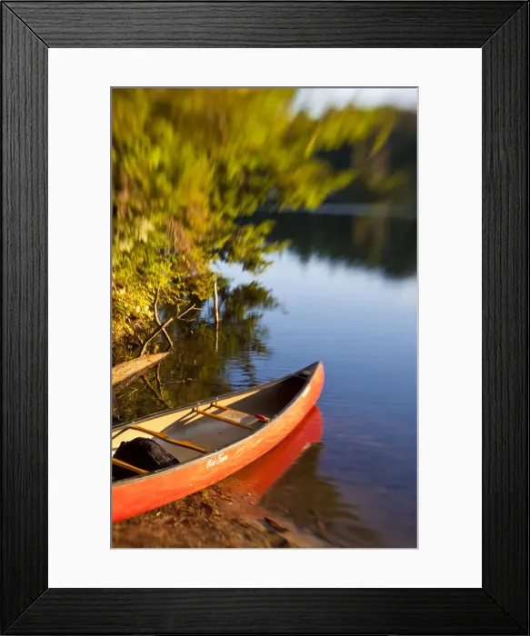 Framed Print : DDE-90039559