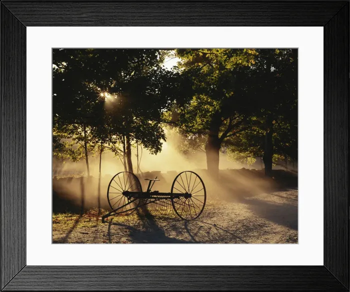 Framed Print : DDE-90039561 Framed Print : DDE-90039561