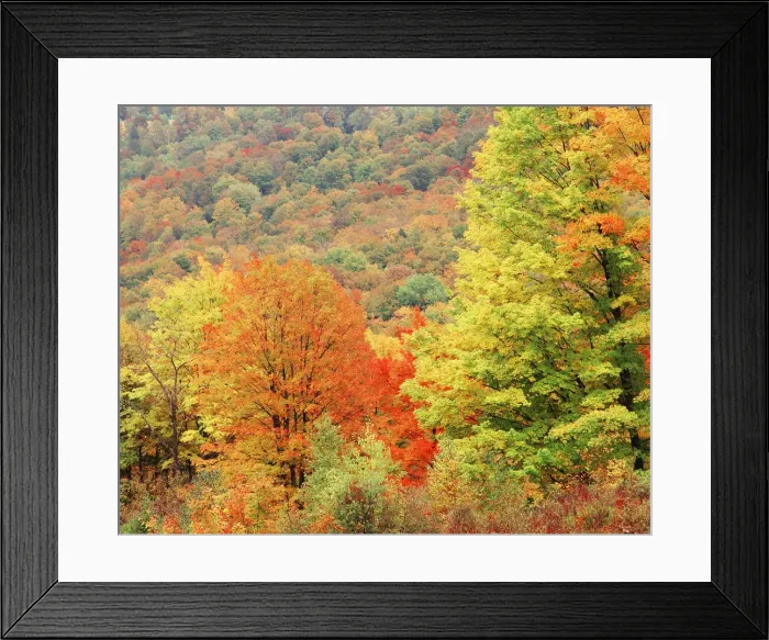 Framed Print : DDE-90039562 Framed Print : DDE-90039562