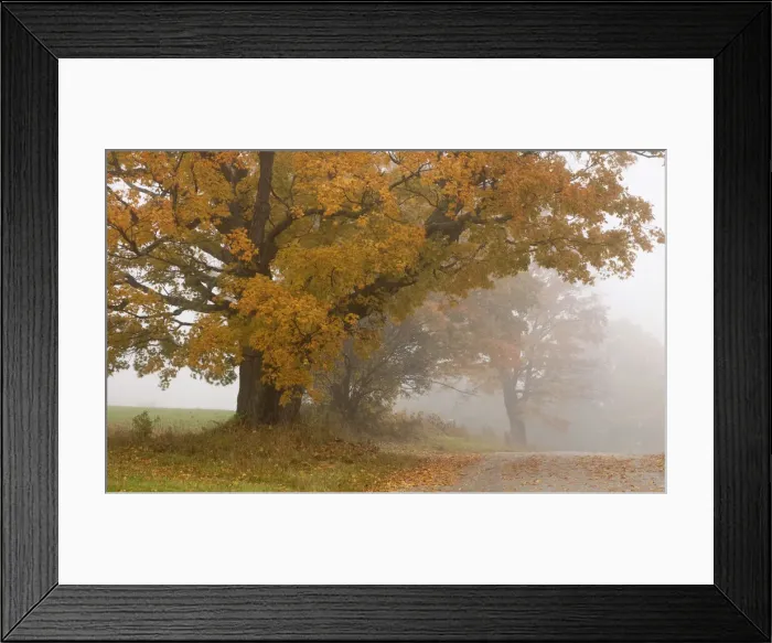 Framed Print : DDE-90039566 Framed Print : DDE-90039566