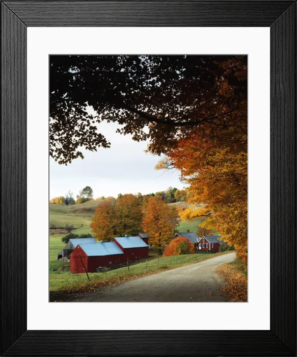 Framed Print : DDE-90039565
