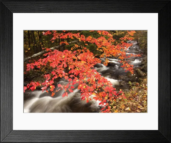 Framed Print : DDE-90039568