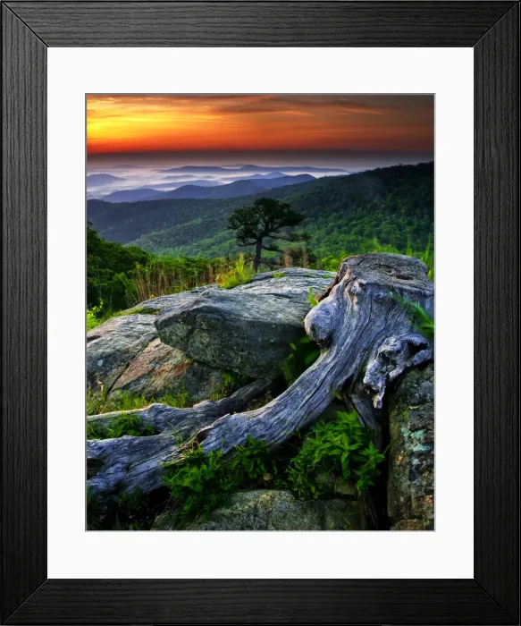 Framed Print : DDE-90039569 Framed Print : DDE-90039569