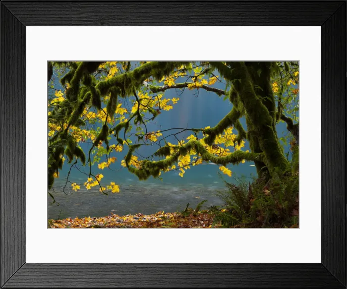 Framed Print : DDE-90039575 Framed Print : DDE-90039575