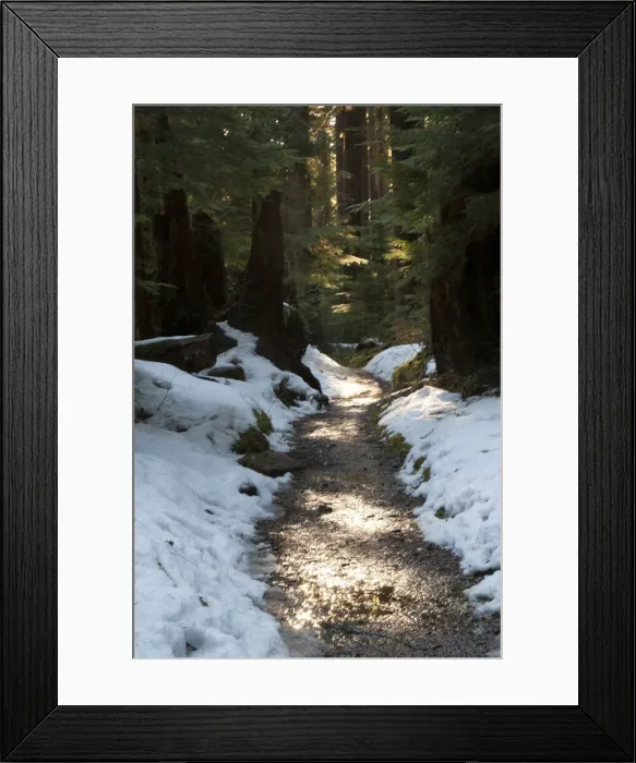 Framed Print : DDE-90039577 Framed Print : DDE-90039577