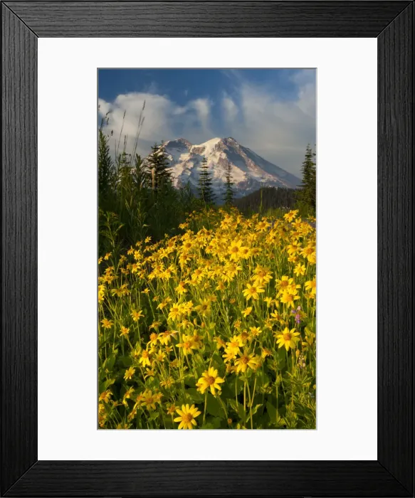 Framed Print : DDE-90039578 Framed Print : DDE-90039578