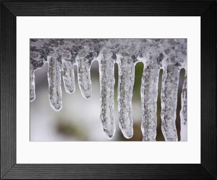 Framed Print : DDE-90039582