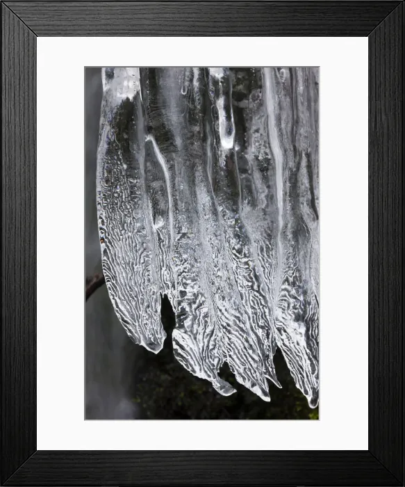 Framed Print : DDE-90039583
