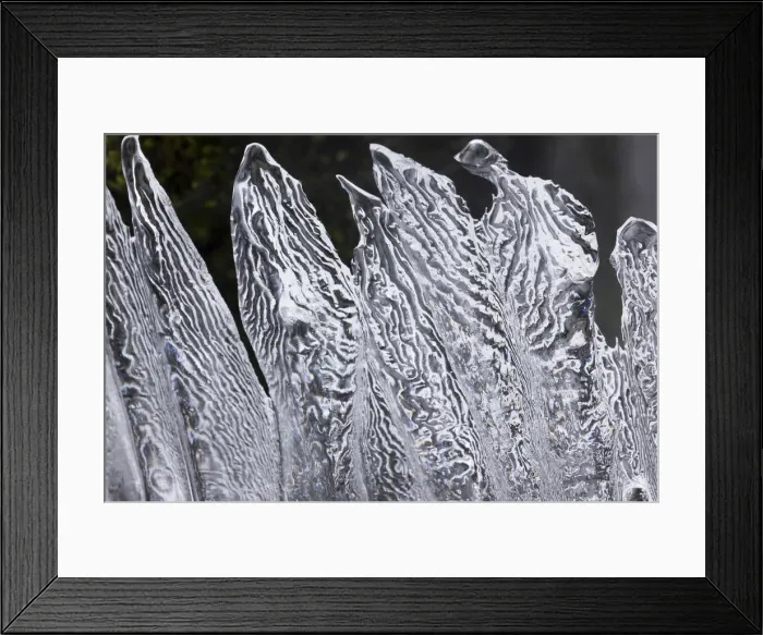 Framed Print : DDE-90039584 Framed Print : DDE-90039584