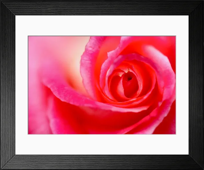 Framed Print : DDE-90039586 Framed Print : DDE-90039586