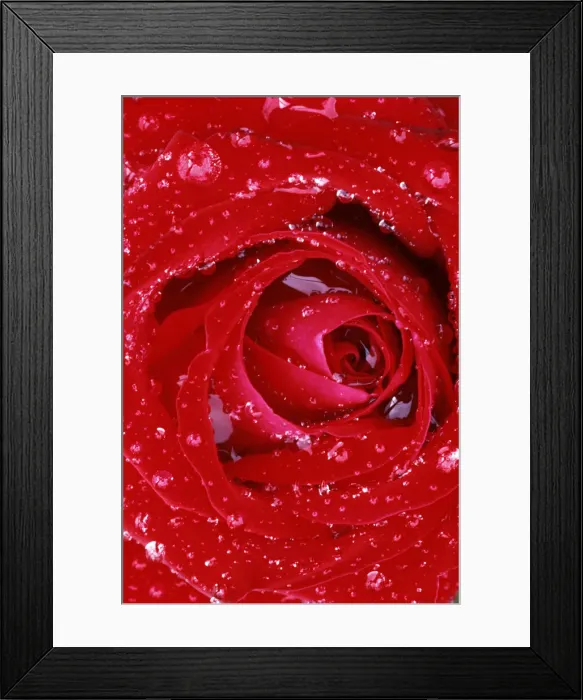 Framed Print : DDE-90039587