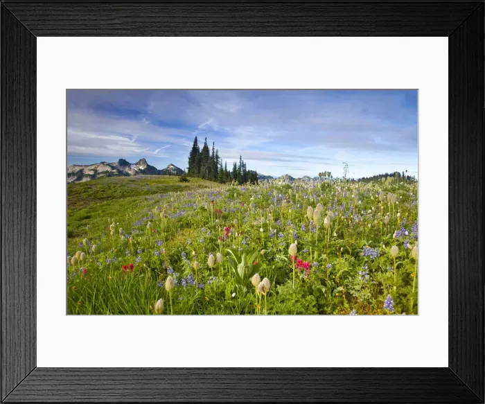 Framed Print : DDE-90039589 Framed Print : DDE-90039589