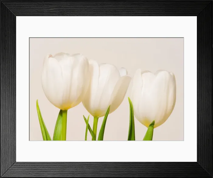Framed Print : DDE-90039594 Framed Print : DDE-90039594