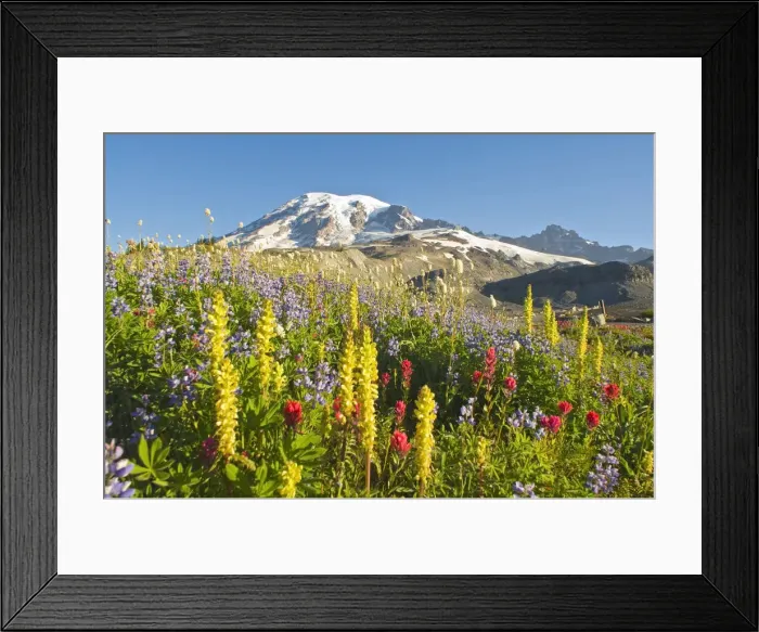 Framed Print : DDE-90039596 Framed Print : DDE-90039596
