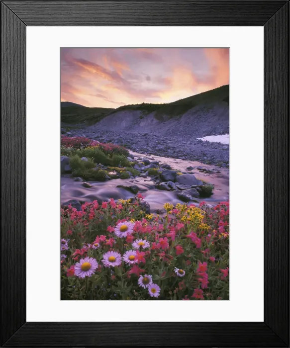 Framed Print : DDE-90039598