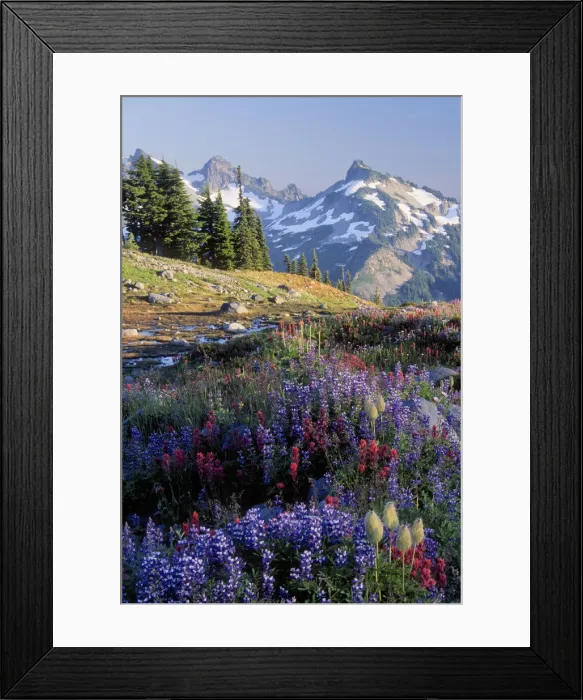 Framed Print : DDE-90039599 Framed Print : DDE-90039599