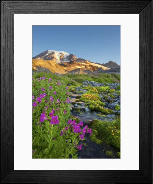 Framed Print : DDE-90039601 Framed Print : DDE-90039601