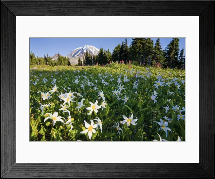 Framed Print : DDE-90039603 Framed Print : DDE-90039603