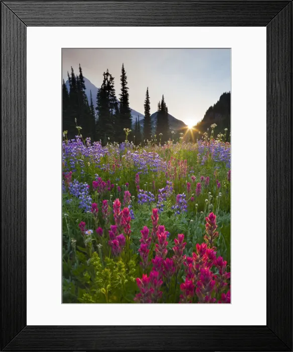 Framed Print : DDE-90039602 Framed Print : DDE-90039602