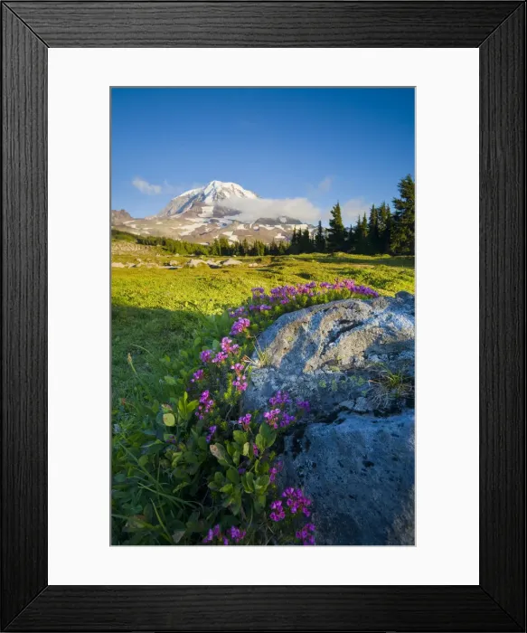 Framed Print : DDE-90039606 Framed Print : DDE-90039606