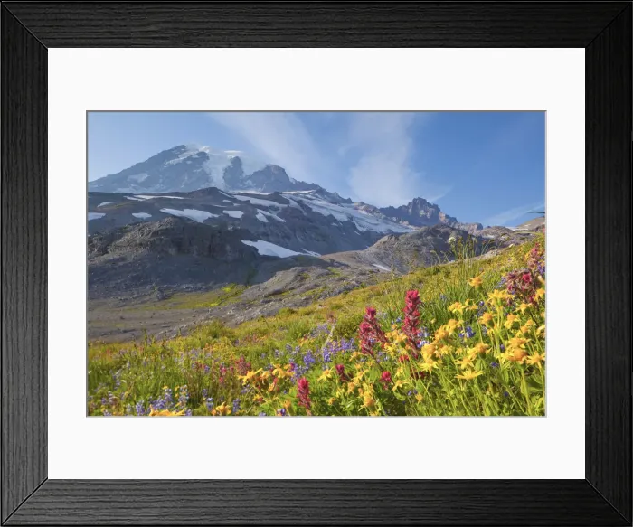Framed Print : DDE-90039607 Framed Print : DDE-90039607