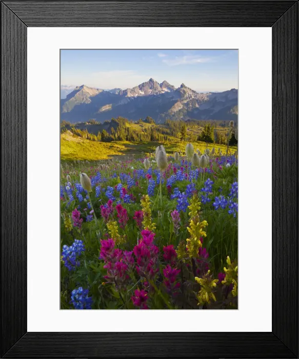 Framed Print : DDE-90039608