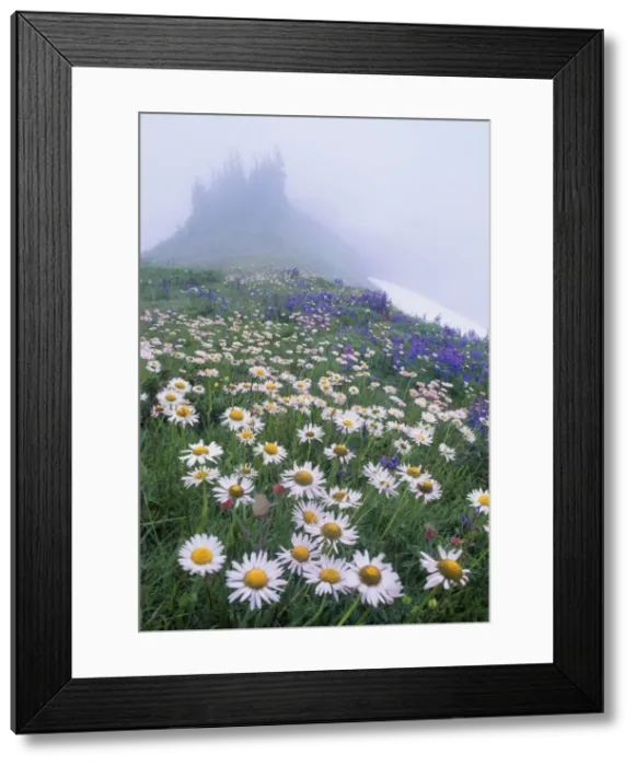 Framed Print : DDE-90039612 Framed Print : DDE-90039612