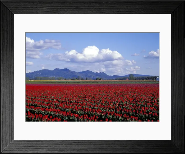 Framed Print : DDE-90039616 Framed Print : DDE-90039616